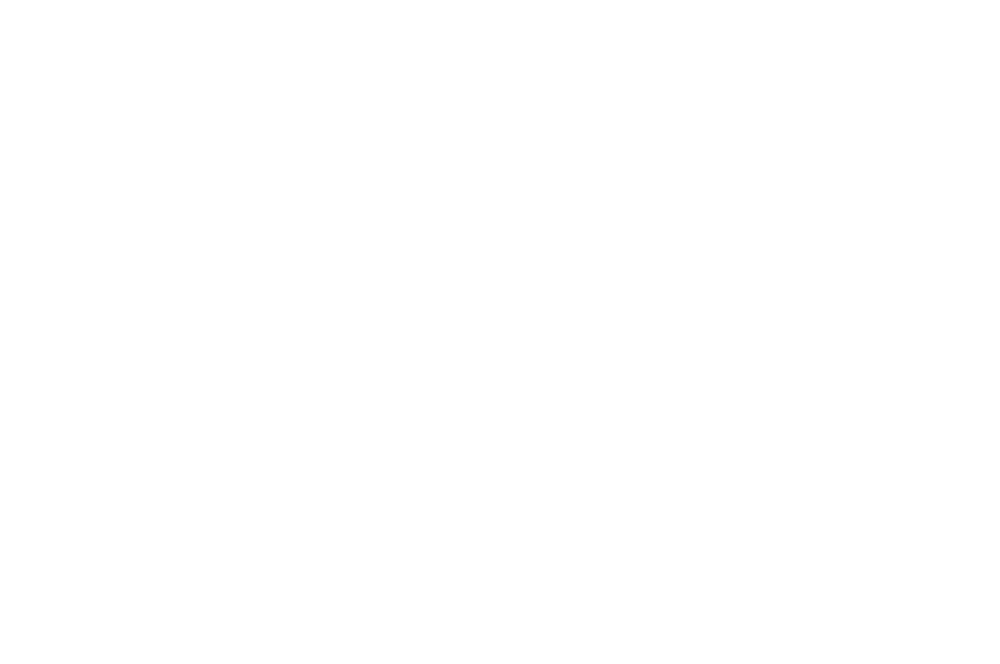 Logo of Rise Europe