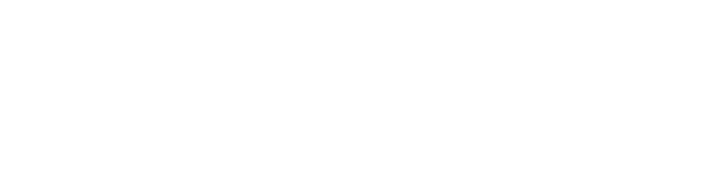 Catalyse_Europe_Logo_White